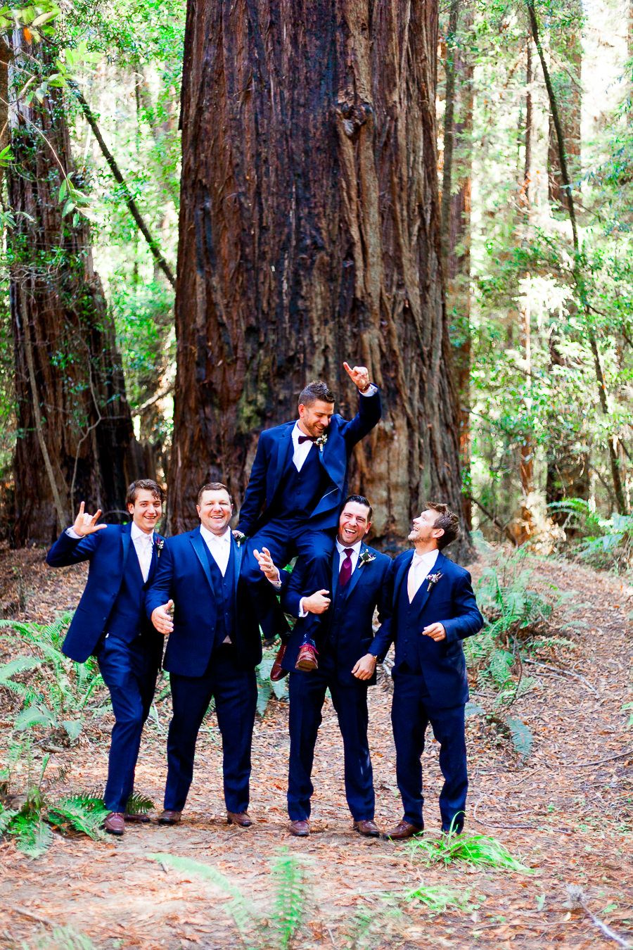 groomsmen throw groom in the air in the Redwoods at Northern California Wedding