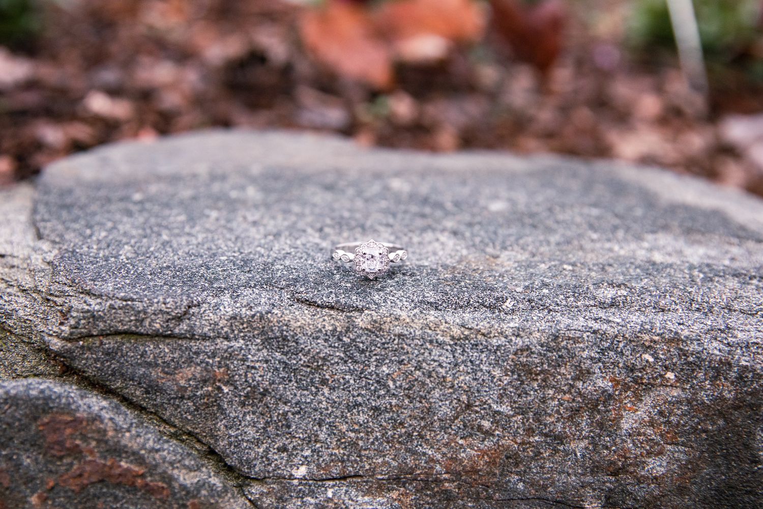 Maryland Fall Engagement 13