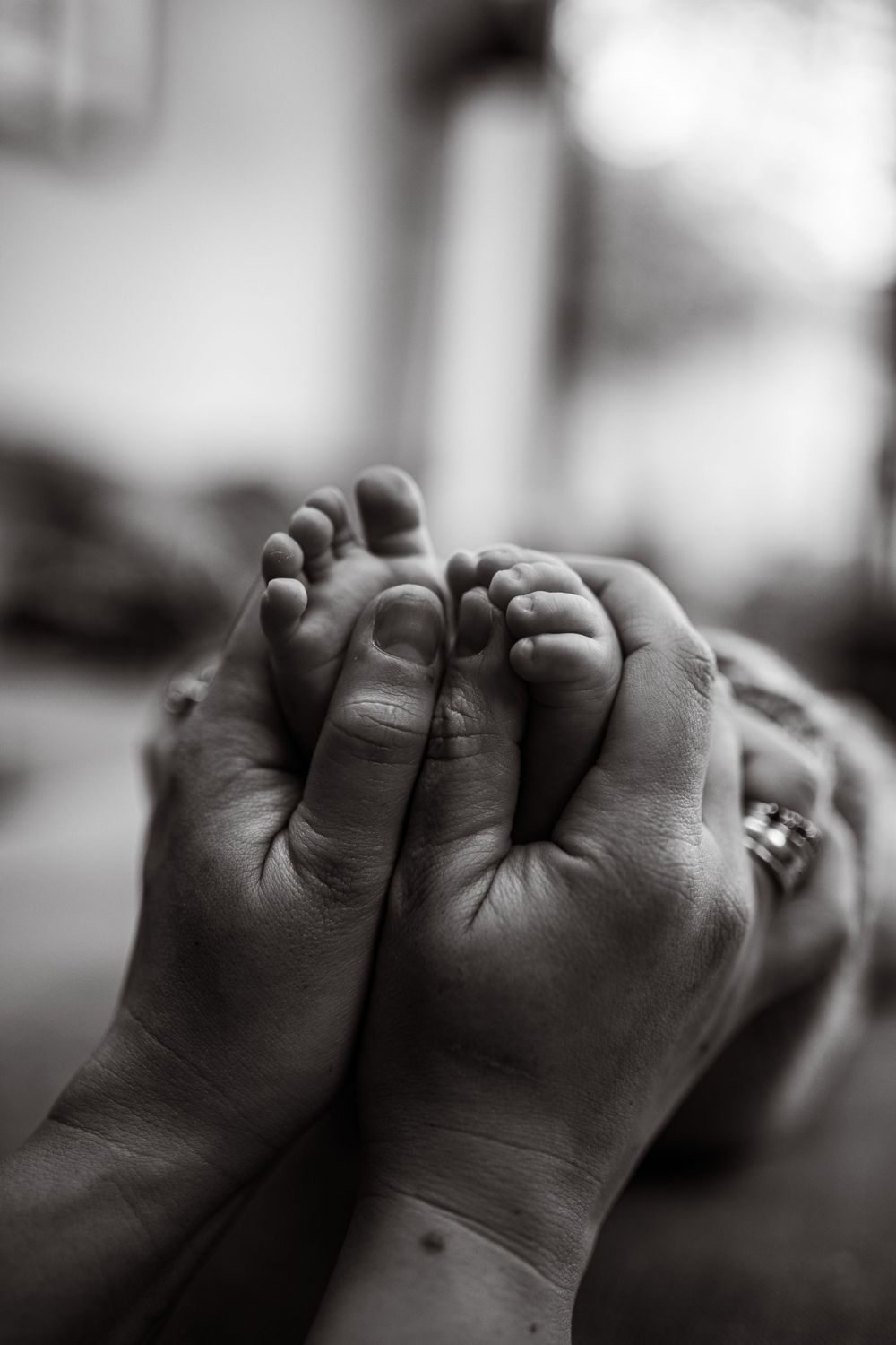 newborn photos london