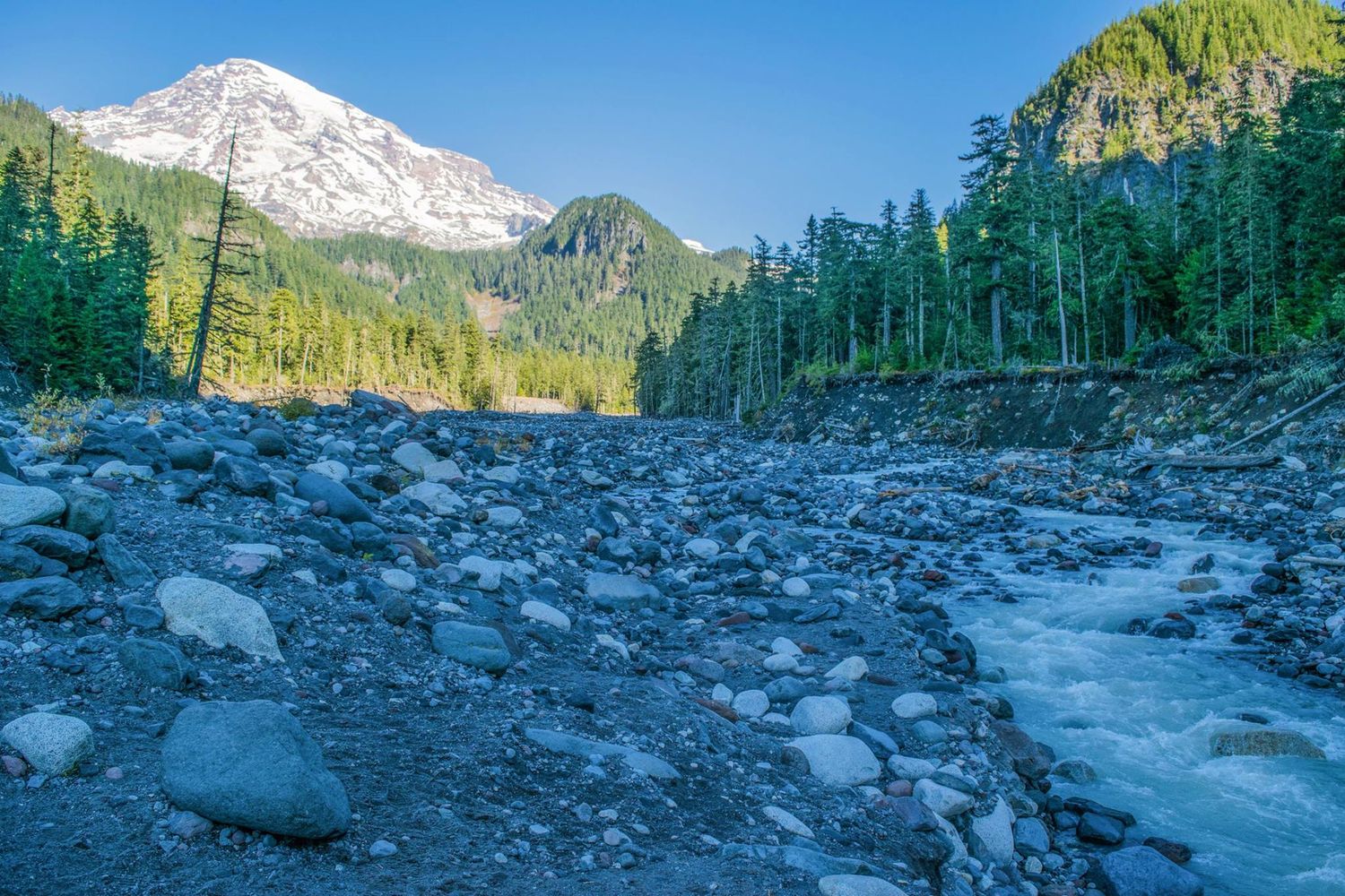 Glacial stream winds through rocky terrain beneath Mount Rainier's snow-covered peak.