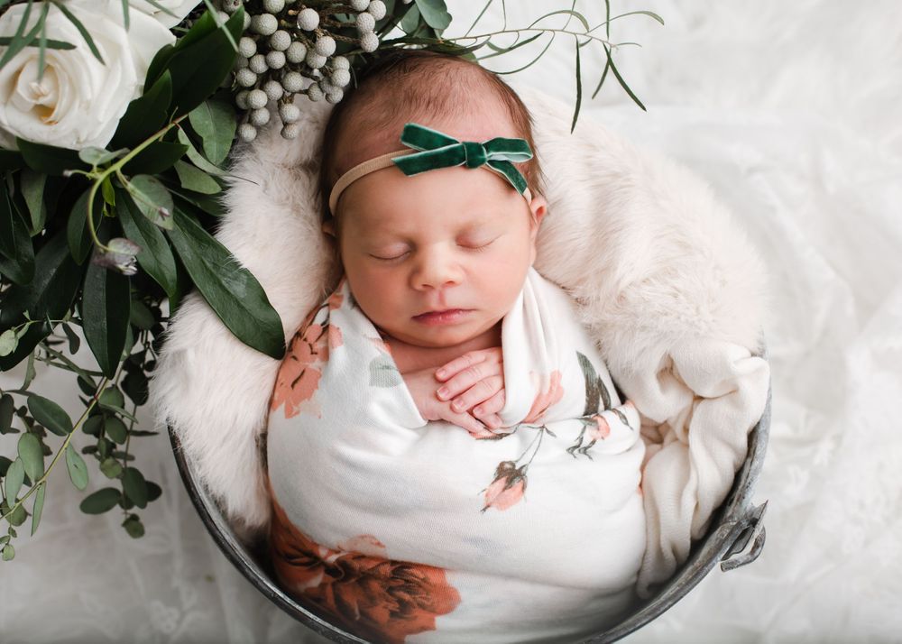 Newborn baby in posed bucket - Newborn photographer in Penticton