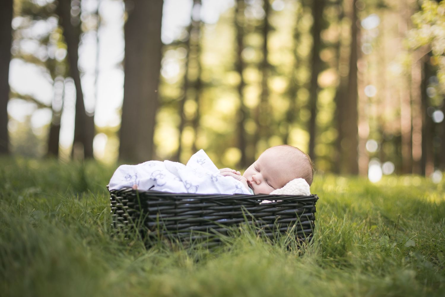 Dixon IL, Newborn Photographer