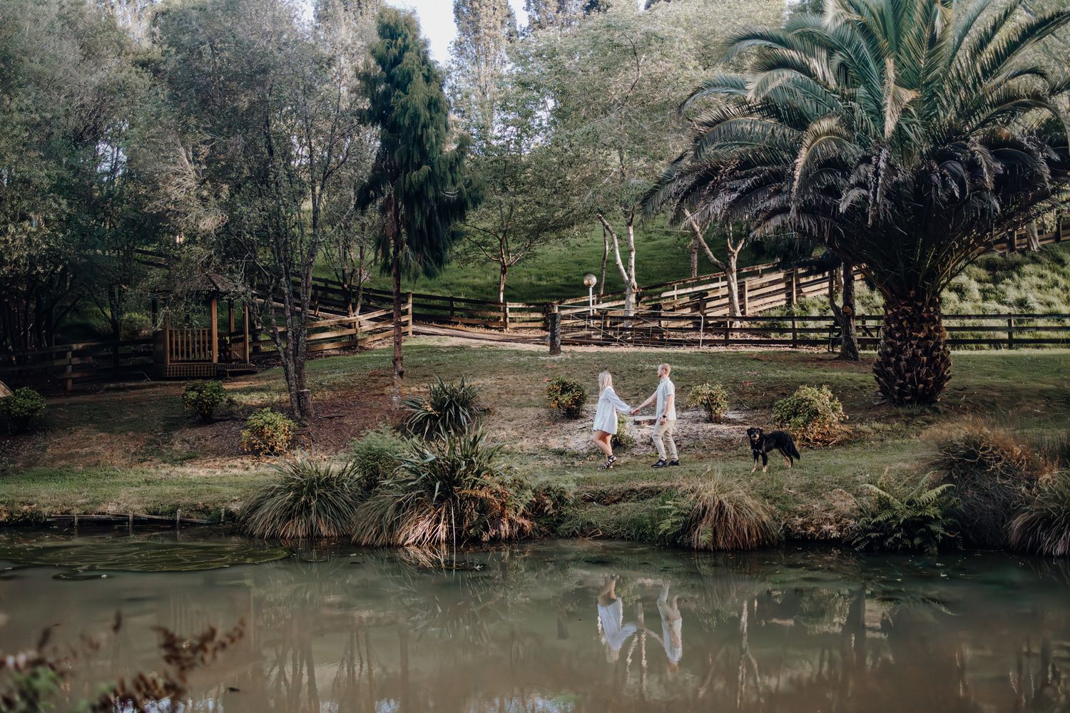 A serene garden pond with palm trees and wooden fencing reflects in still water.