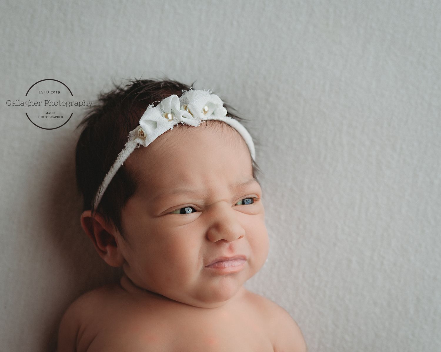 Professional newborn photo