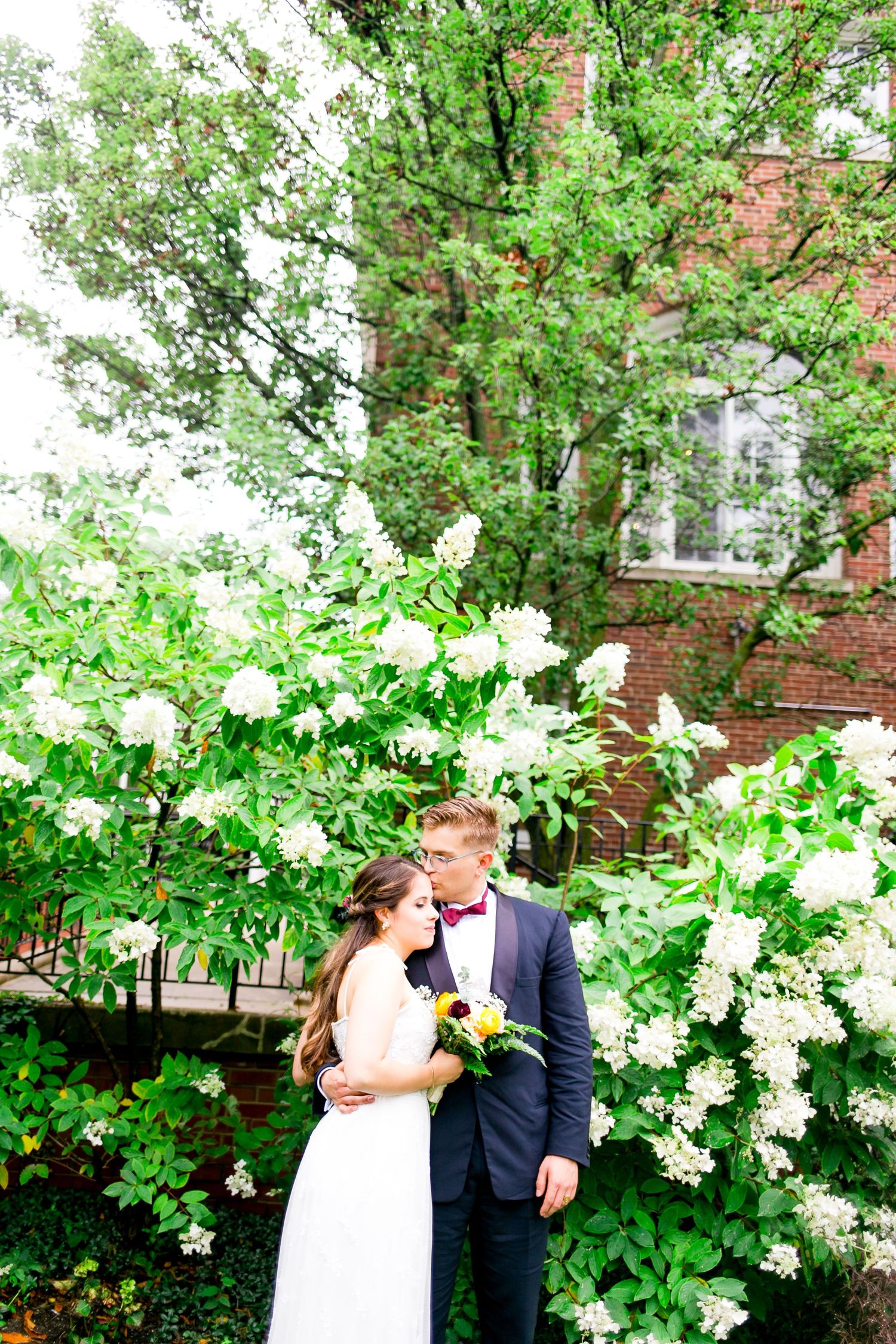 groom kisses his bride on the forehead in front of a white hydrangea bush in the garden at Woman's Club of Evanston