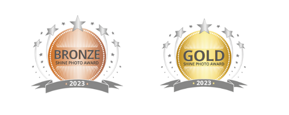 Bronze and gold award medals with laurel wreaths on black background.