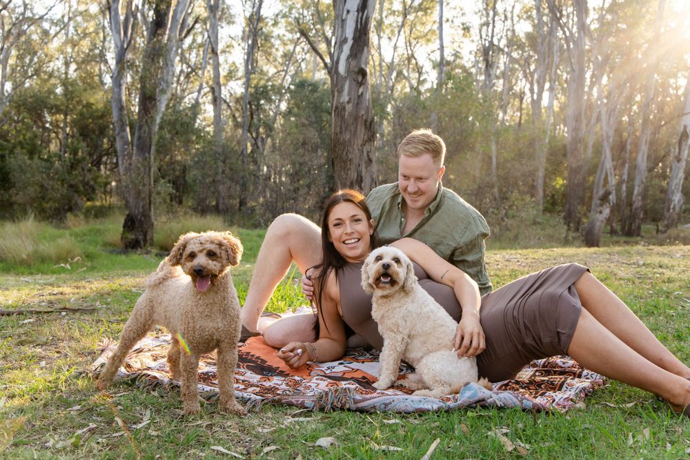 A couple relaxes on a picnic blanket with their two dogs in a scenic park setting.