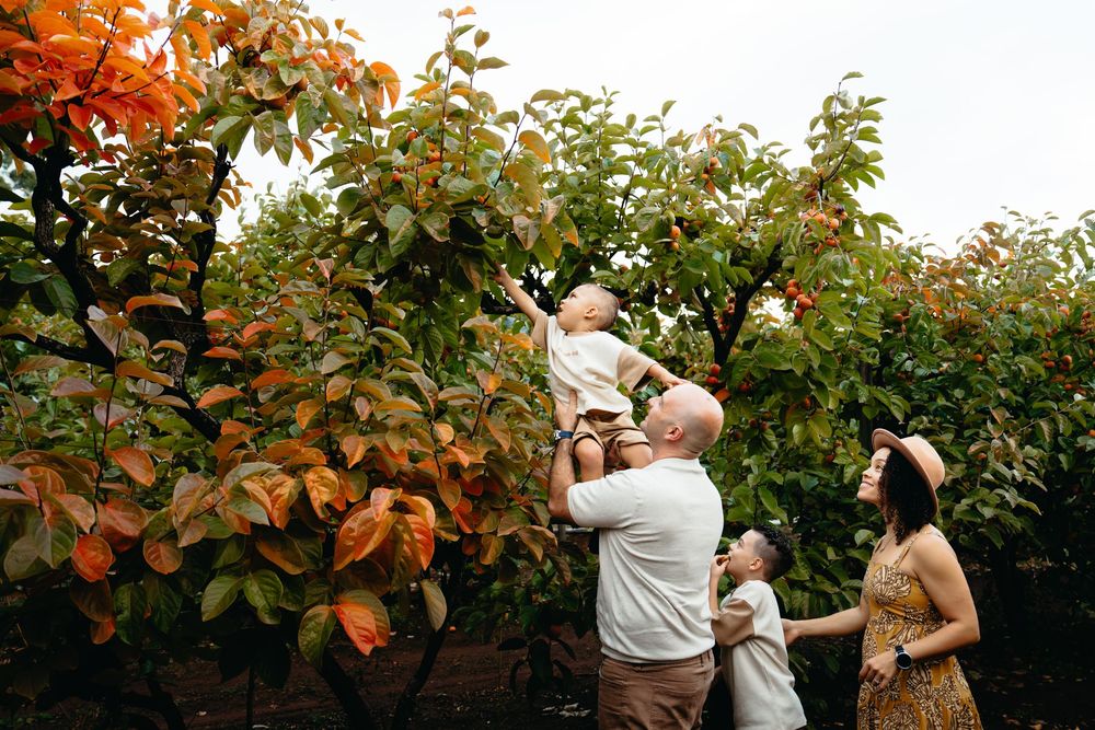 Family walks together through orchard with colorful fall foliage and fruit trees on sunny autumn afternoon.