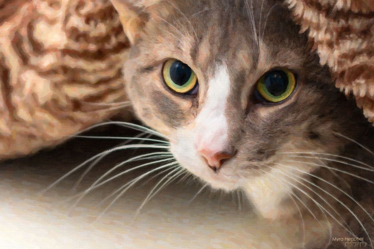 Close-up of a gray cat with luminous green eyes peering from behind fabric.