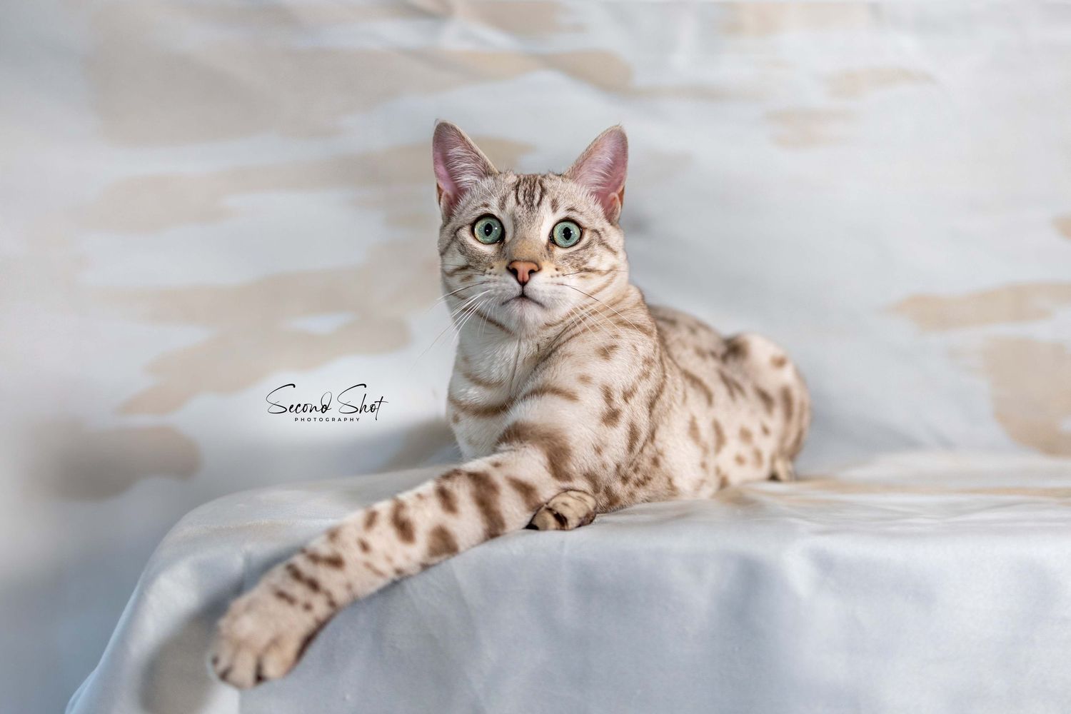 A Bengal cat with spotted coat and bright green eyes lies elegantly on white fabric against a soft cloudy background.