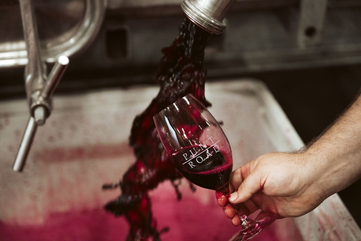 Punt Road Winery vintage harvest documentation - Yarra Valley winery photography