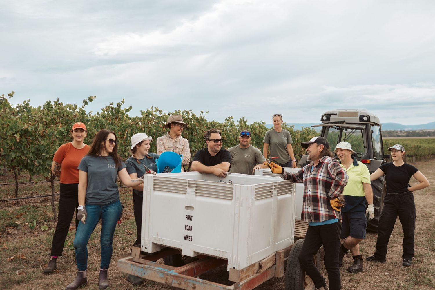 Punt Road Winery vintage harvest documentation - Yarra Valley winery photography