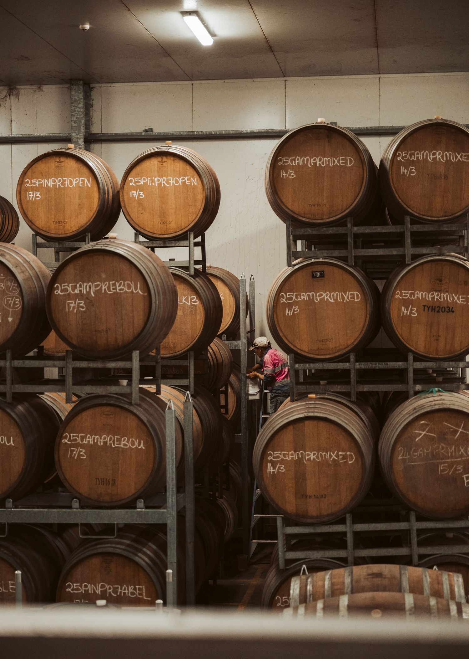 Punt Road Winery vintage harvest documentation - Yarra Valley winery photography