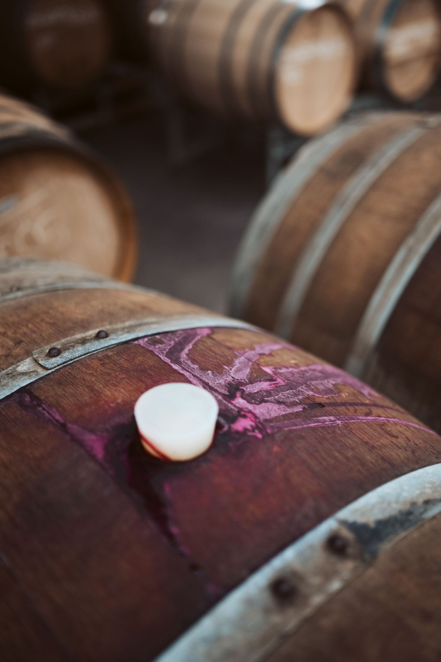 Punt Road Winery vintage harvest documentation - Yarra Valley winery photography