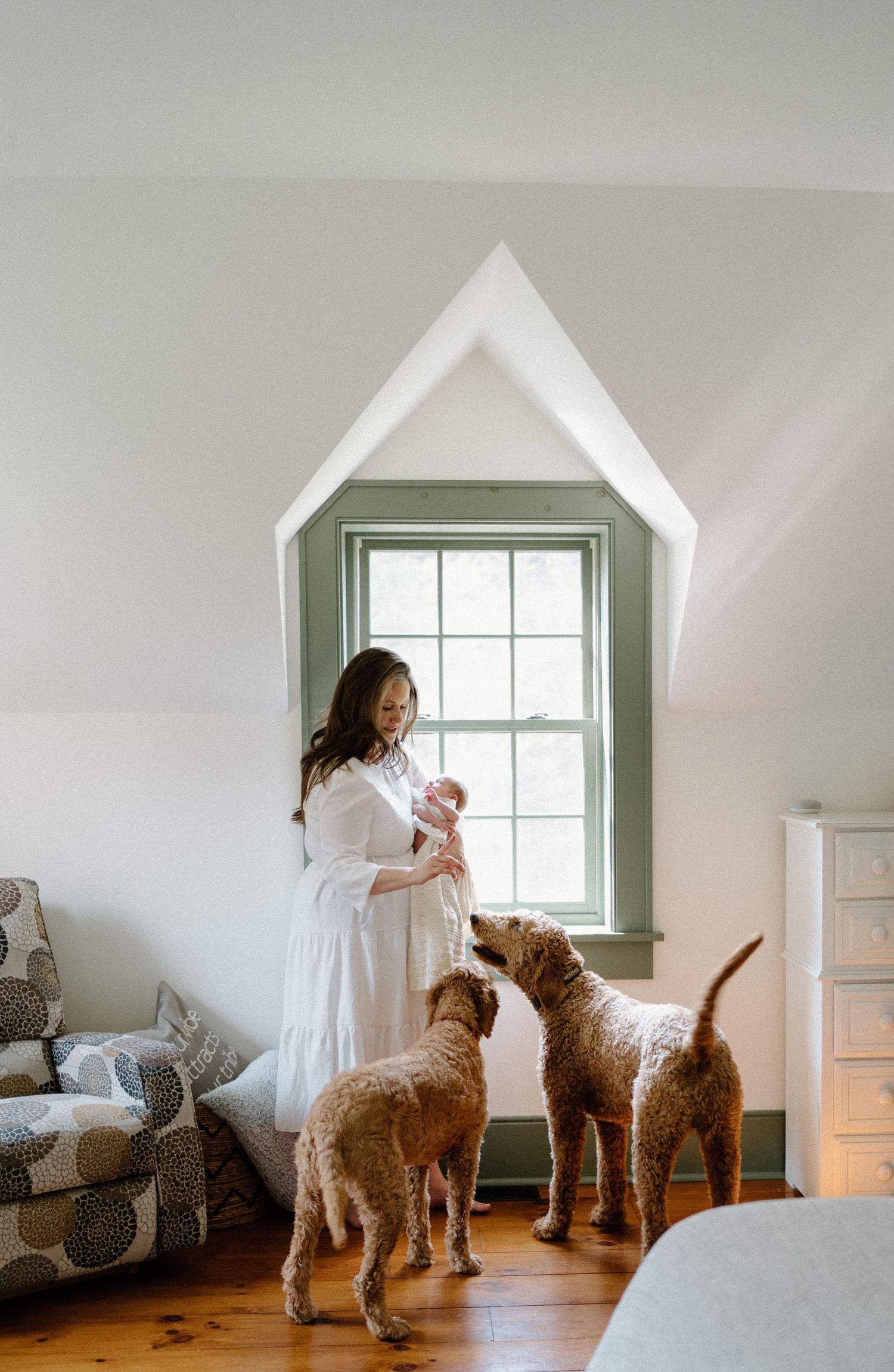 Two fluffy dogs gather around a white-robed figure holding an infant by a sage green window frame.