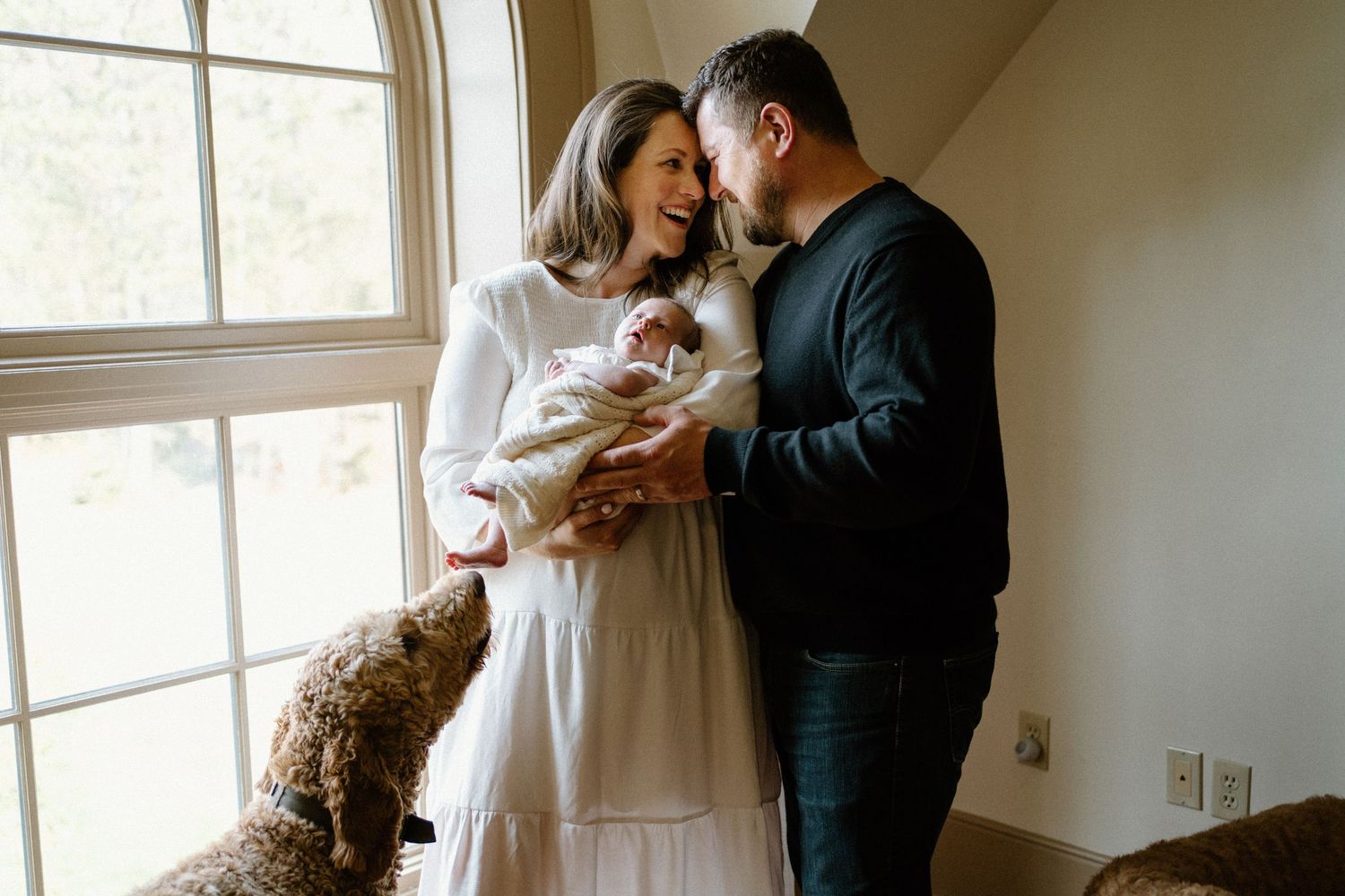 A couple stands lovingly by a sunny window while holding a small pet dog in their arms during a tender home moment.