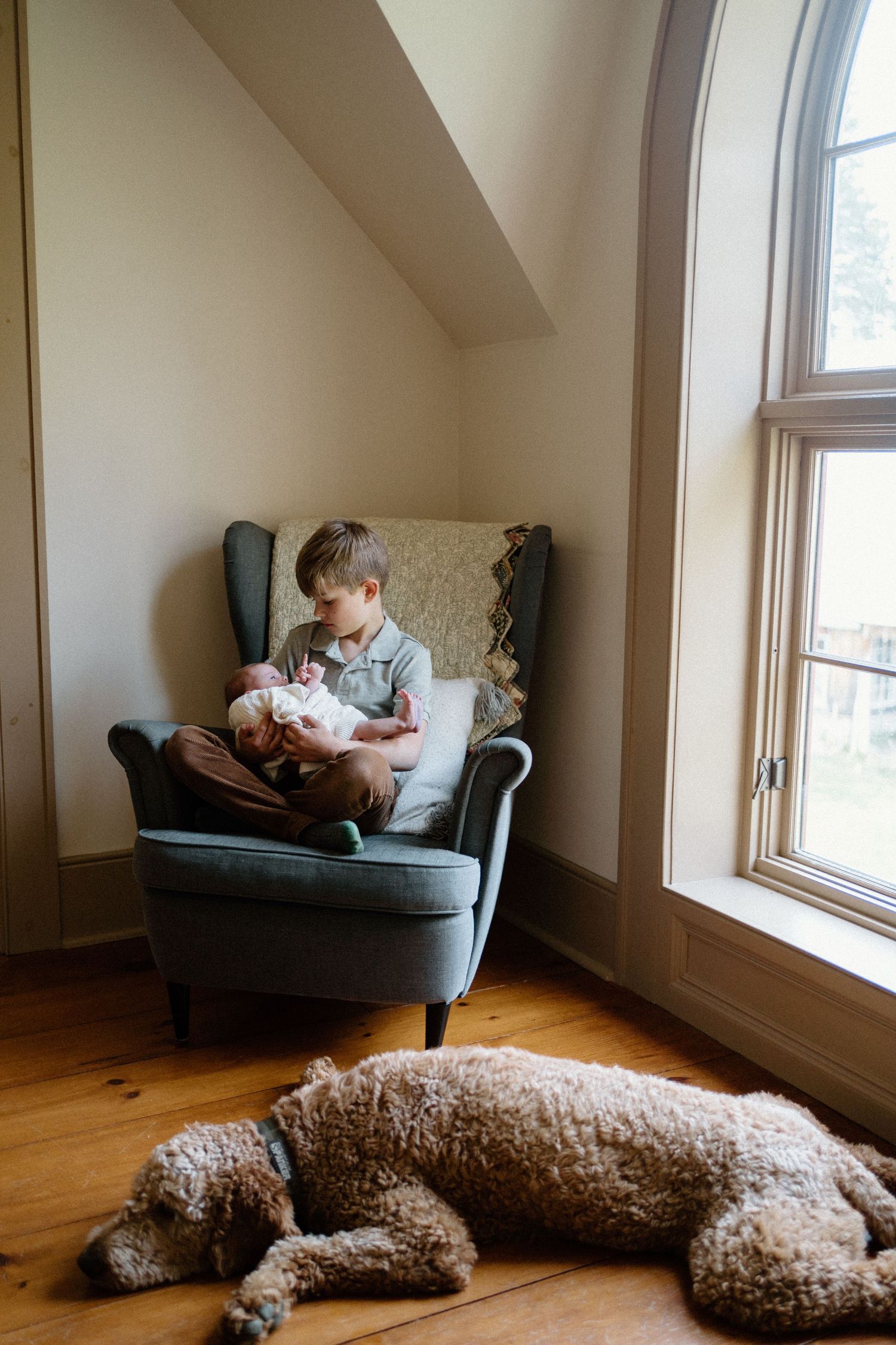 A quiet moment in a sunny corner with a comfortable armchair and sleeping dog on hardwood floors.