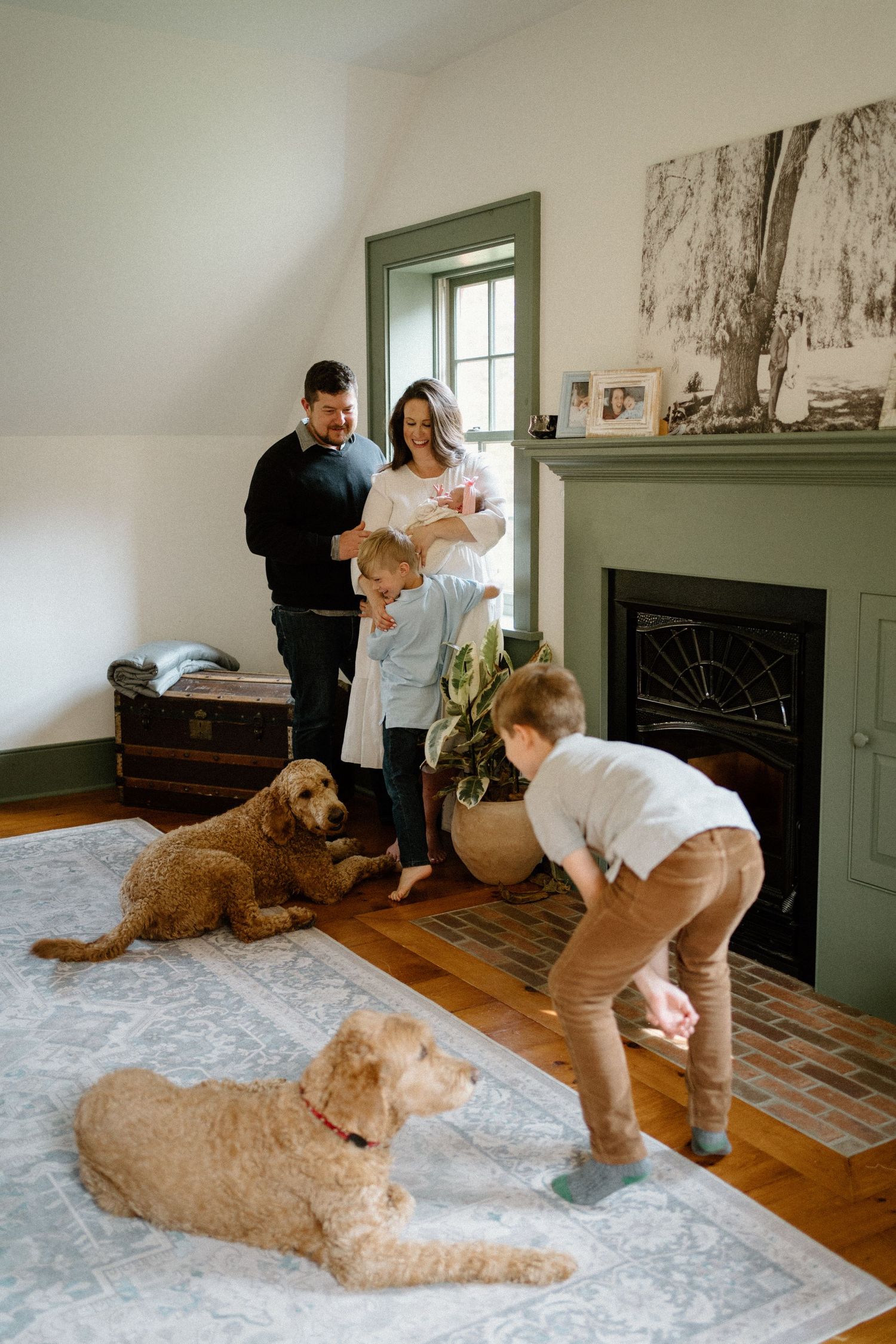 A cozy family scene with two dogs resting on the floor near a fireplace as a baby is held.