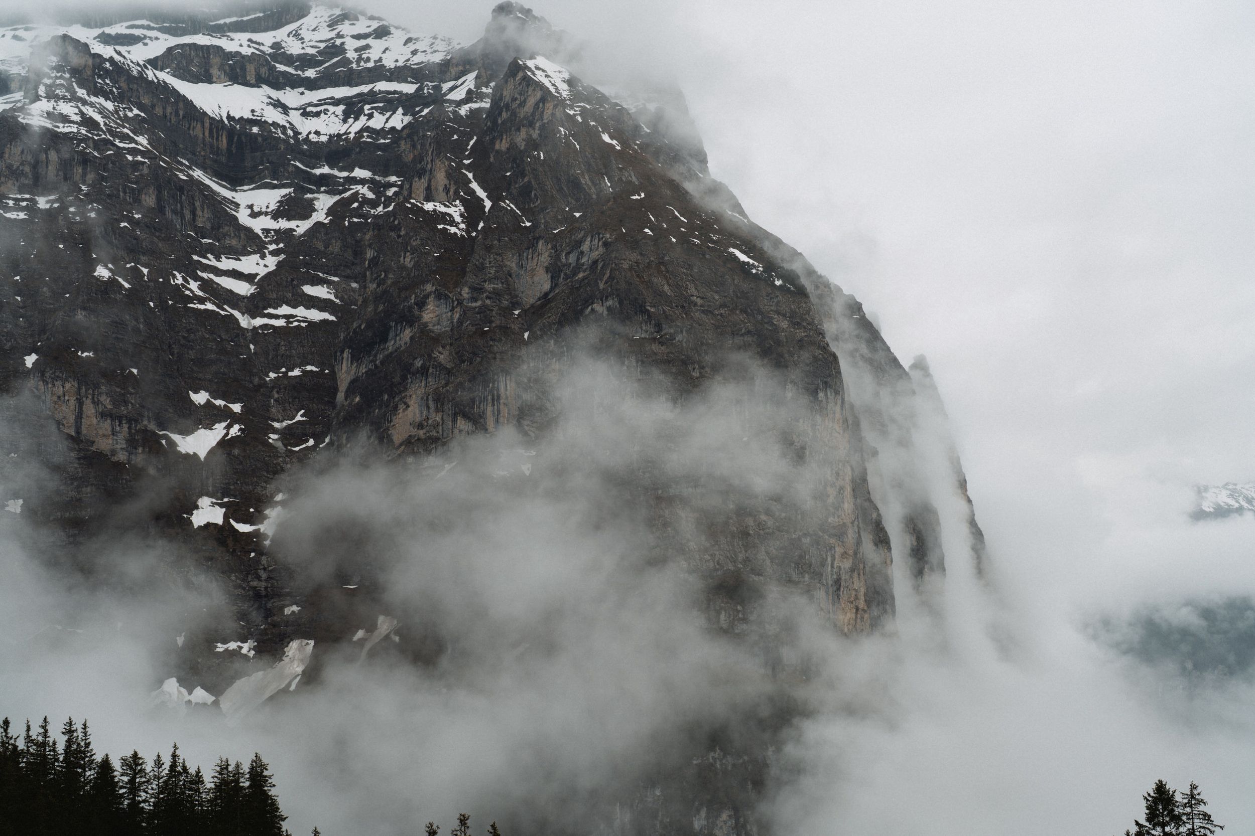 Dramatic mountain peak shrouded in misty clouds with snow patches and dark pine forest in foreground.