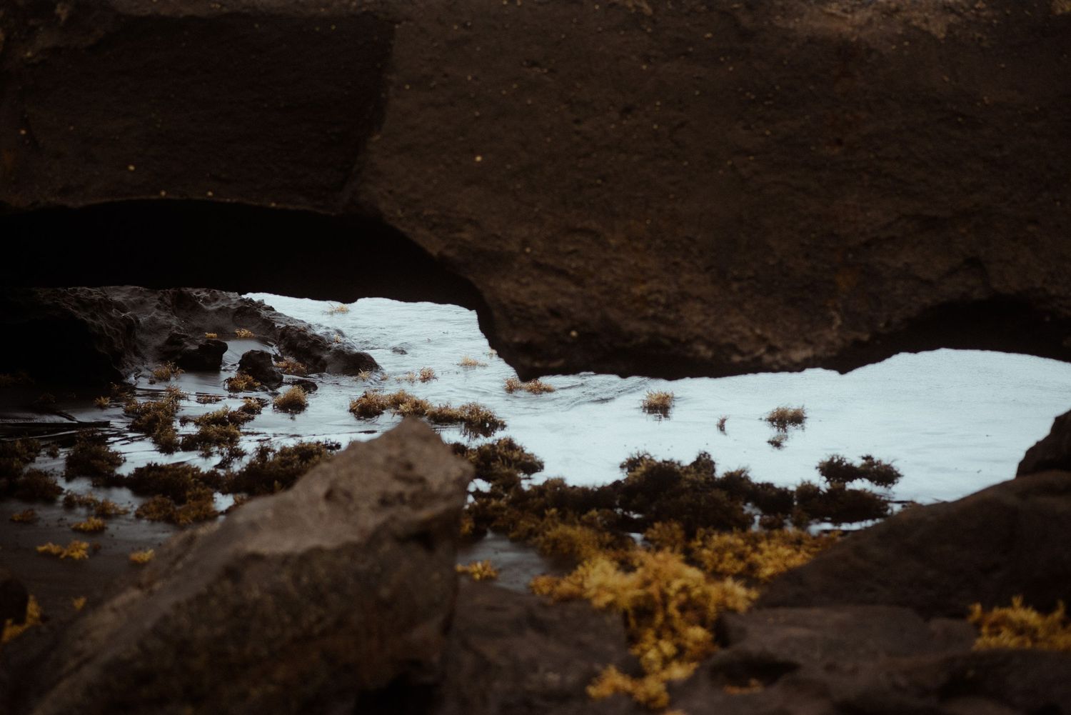 Snow patches contrast against dark rocks with yellow vegetation growing in a rugged mountainous landscape.