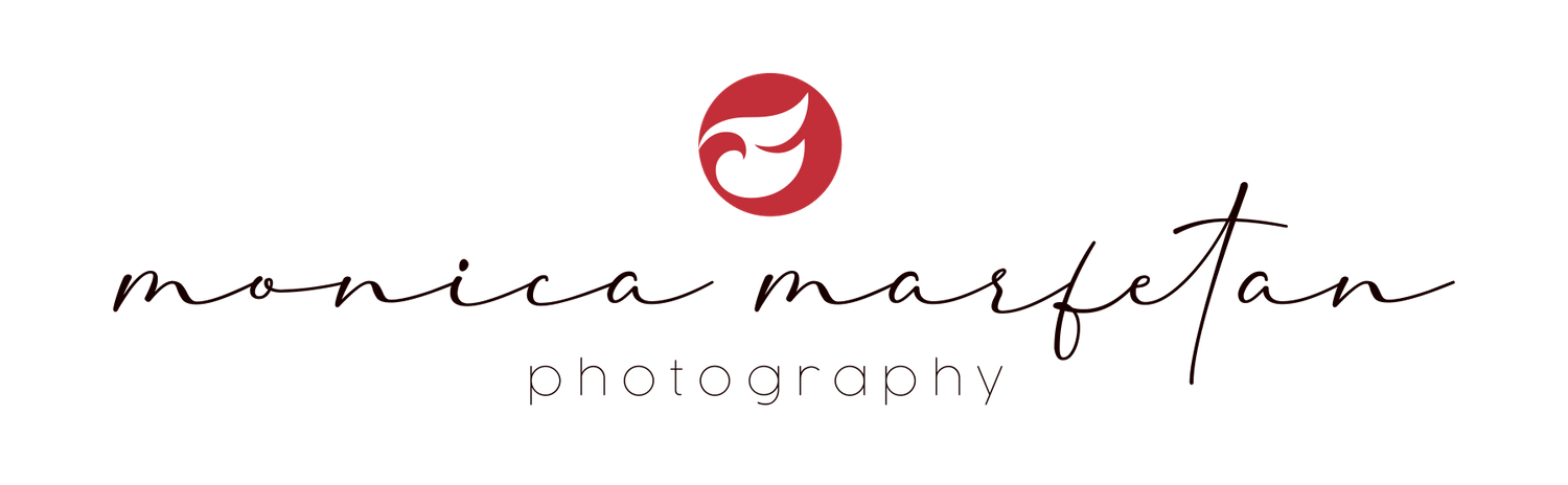Stylized red bird logo design with elegant script typography underneath.