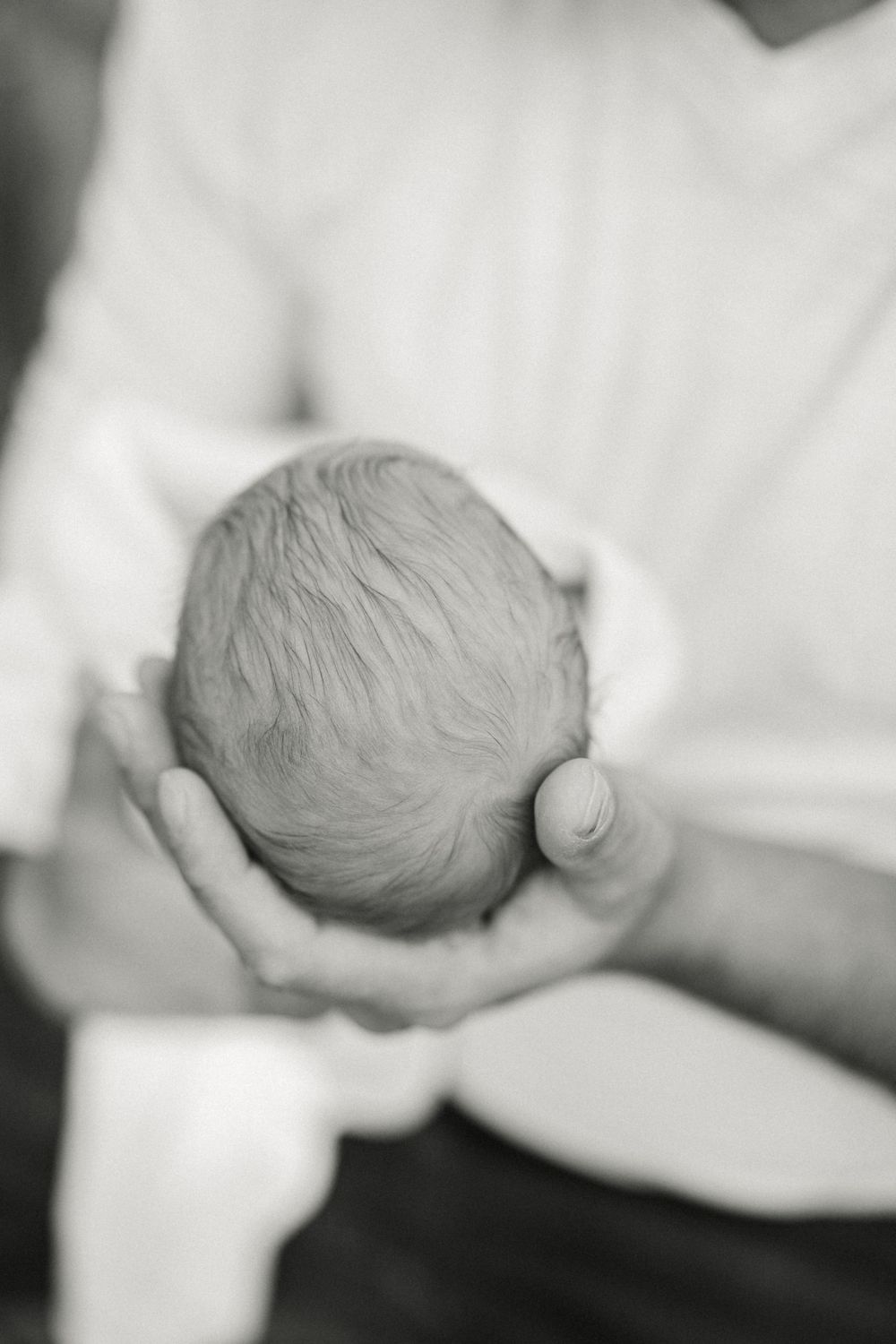 Black and white photo of tiny newborn head cradled in caring hands.