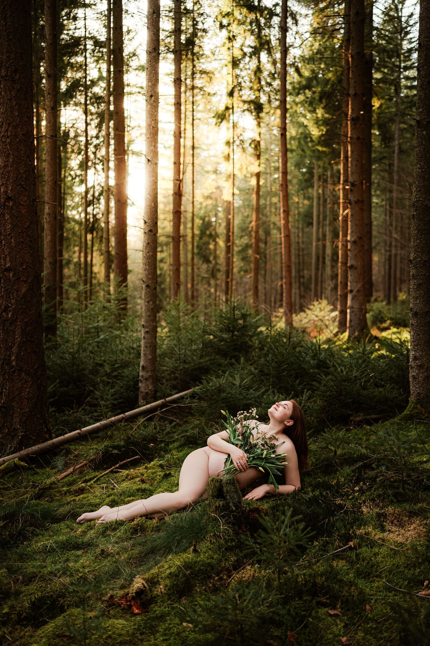 A figure lays gracefully across mossy forest ground as golden sunlight streams through towering pine trees at sunset.