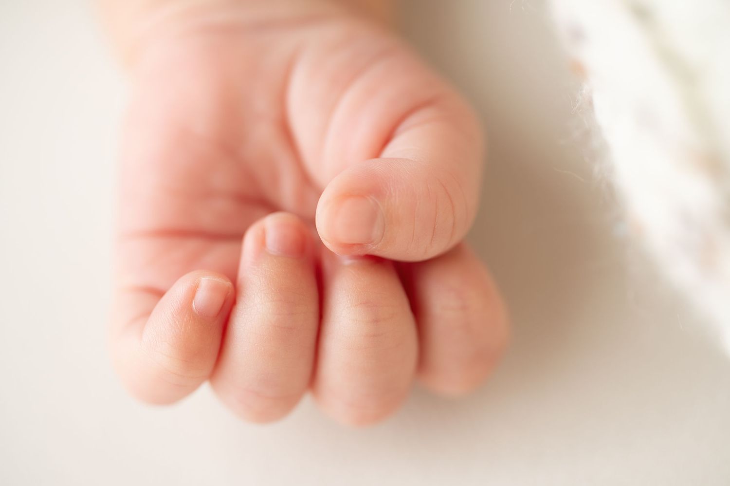 Close-up of tiny newborn baby hand with delicate fingers against white background.