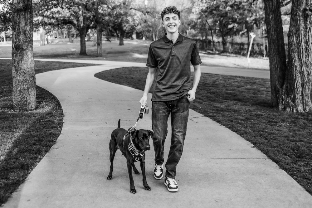 Black and white photo of a person walking a Great Dane on a curved sidewalk through a park area.