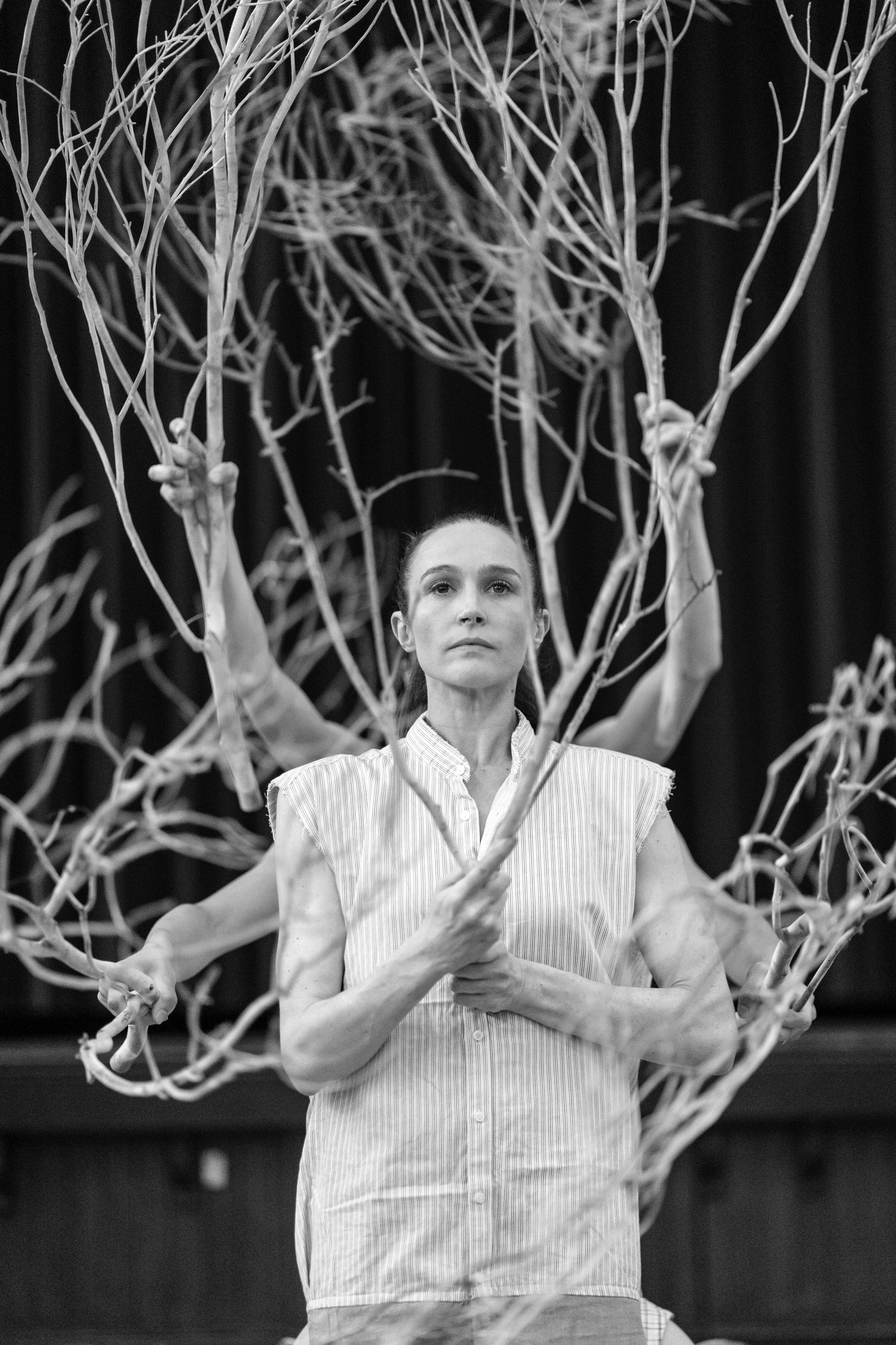 The Darling Choreographed by Tim Harbour.
Performed by Arianna Marchiori, Chimene Steele-Prior, Stephanie Petersen, Jessica Thompson. M. C