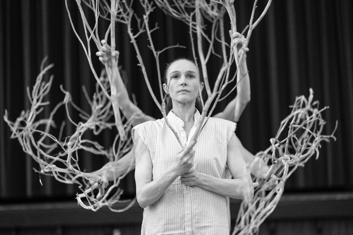 The Darling Choreographed by Tim Harbour.
**Performed by Arianna Marchiori, Chimene Steele-Prior, Stephanie Petersen, Jessica Thompson.**