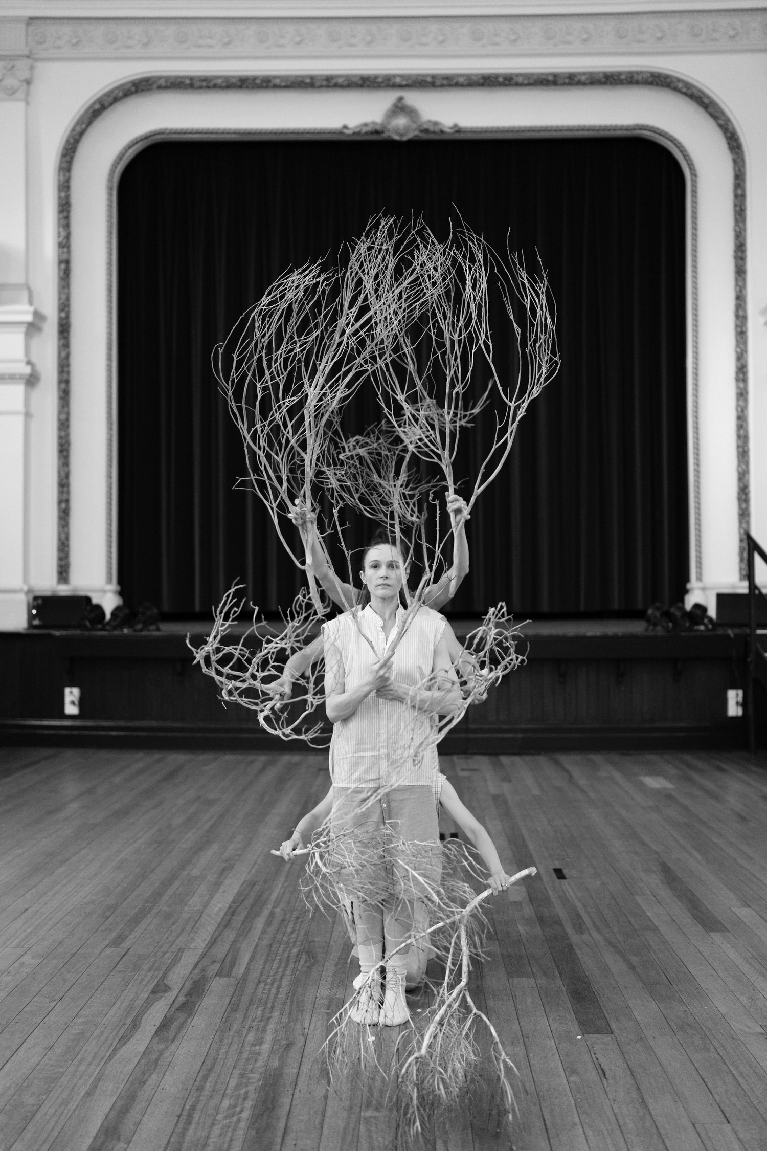 The Darling Choreographed by Tim Harbour.
Performed by Arianna Marchiori, Chimene Steele-Prior, Stephanie Petersen, Jessica Thompson.