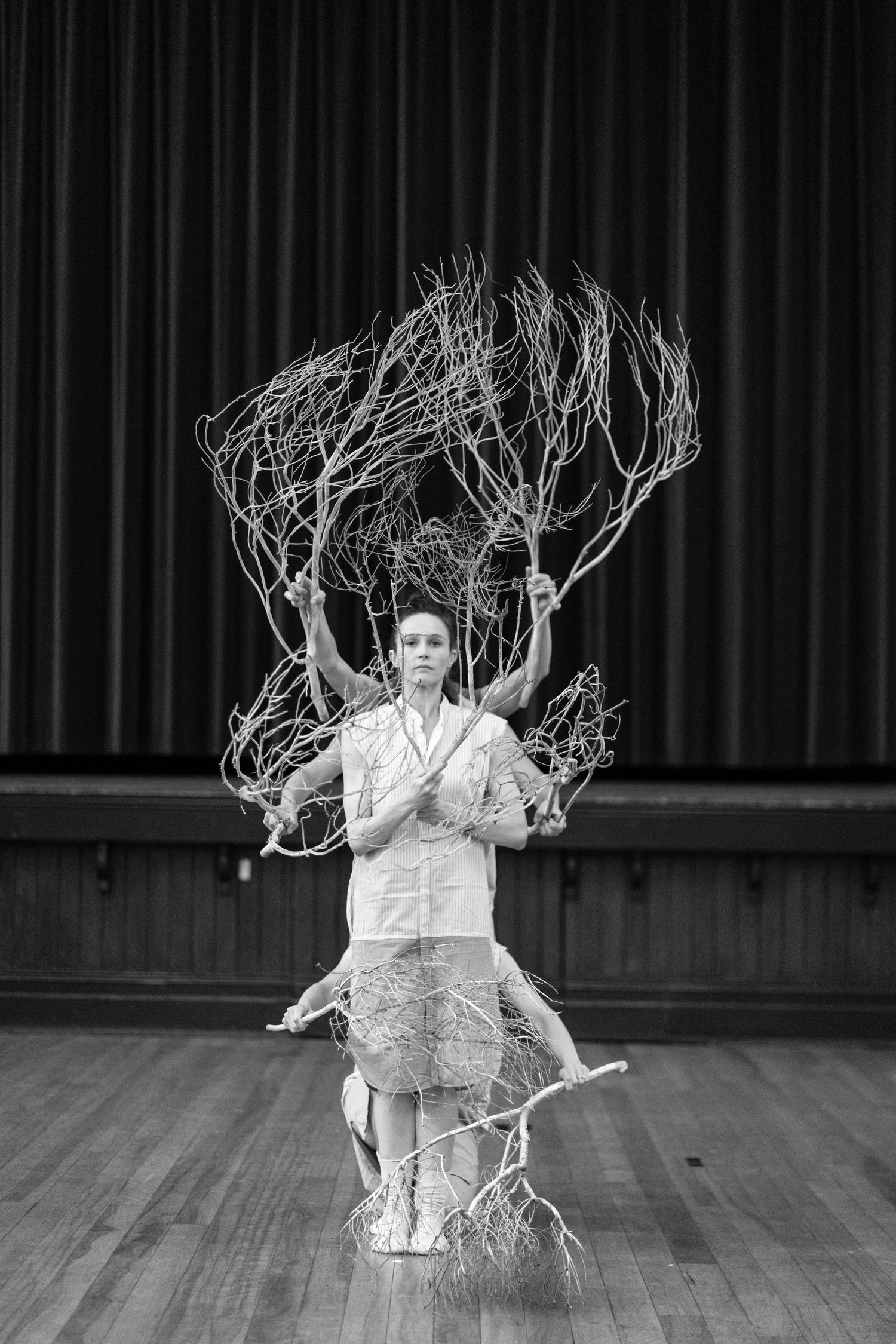 The Darling Choreographed by Tim Harbour.
Performed by Arianna Marchiori, Chimene Steele-Prior, Stephanie Petersen, Jessica Thompson. M. C