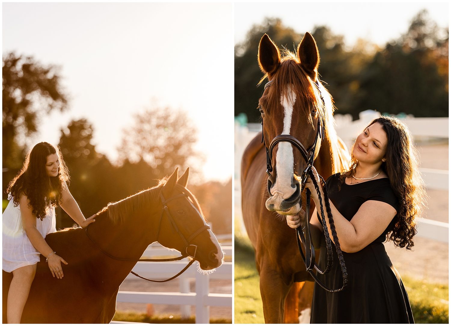horse and rider golden hour senior photo portrait session