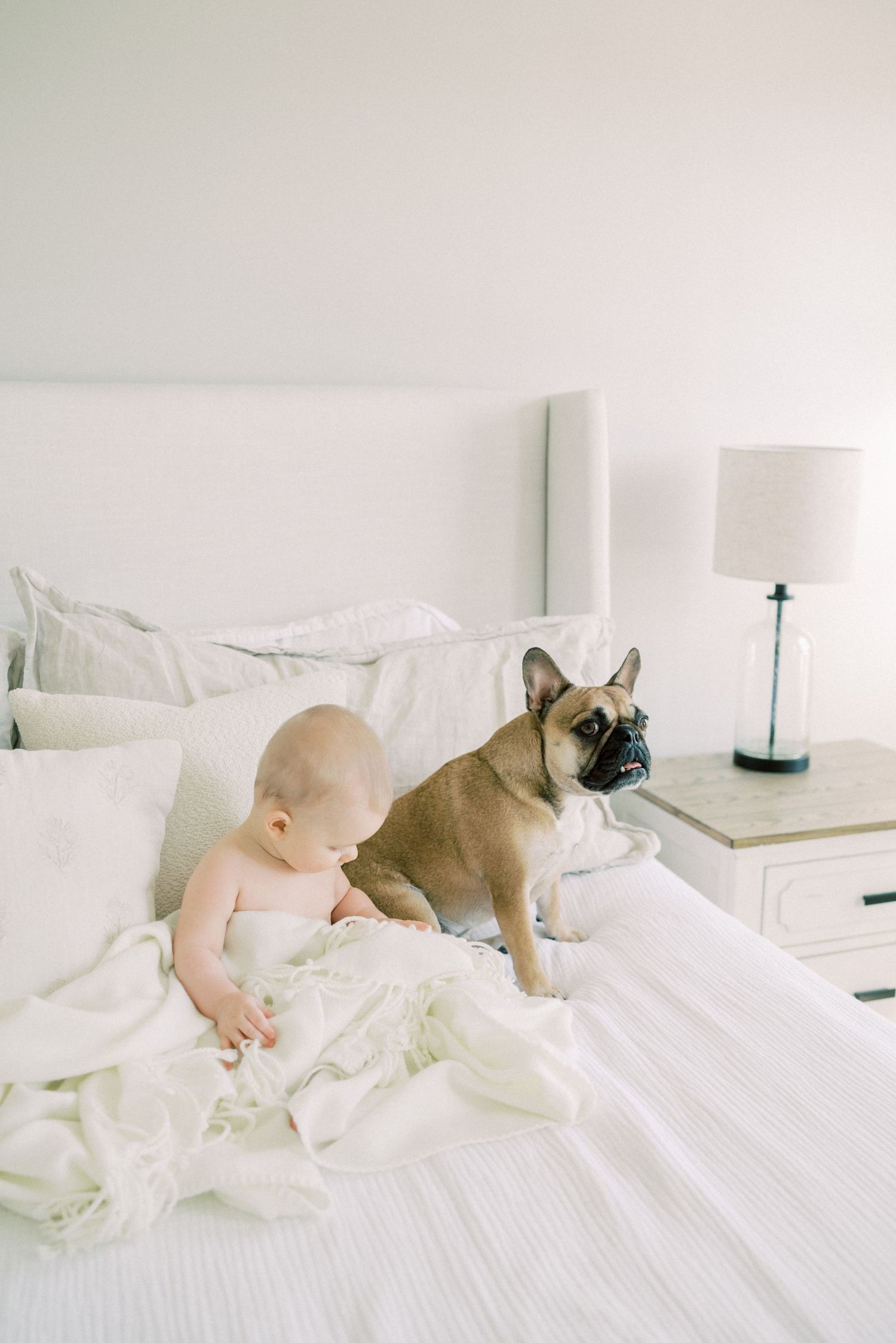 A French Bulldog and baby share a cozy moment together on white bedding.