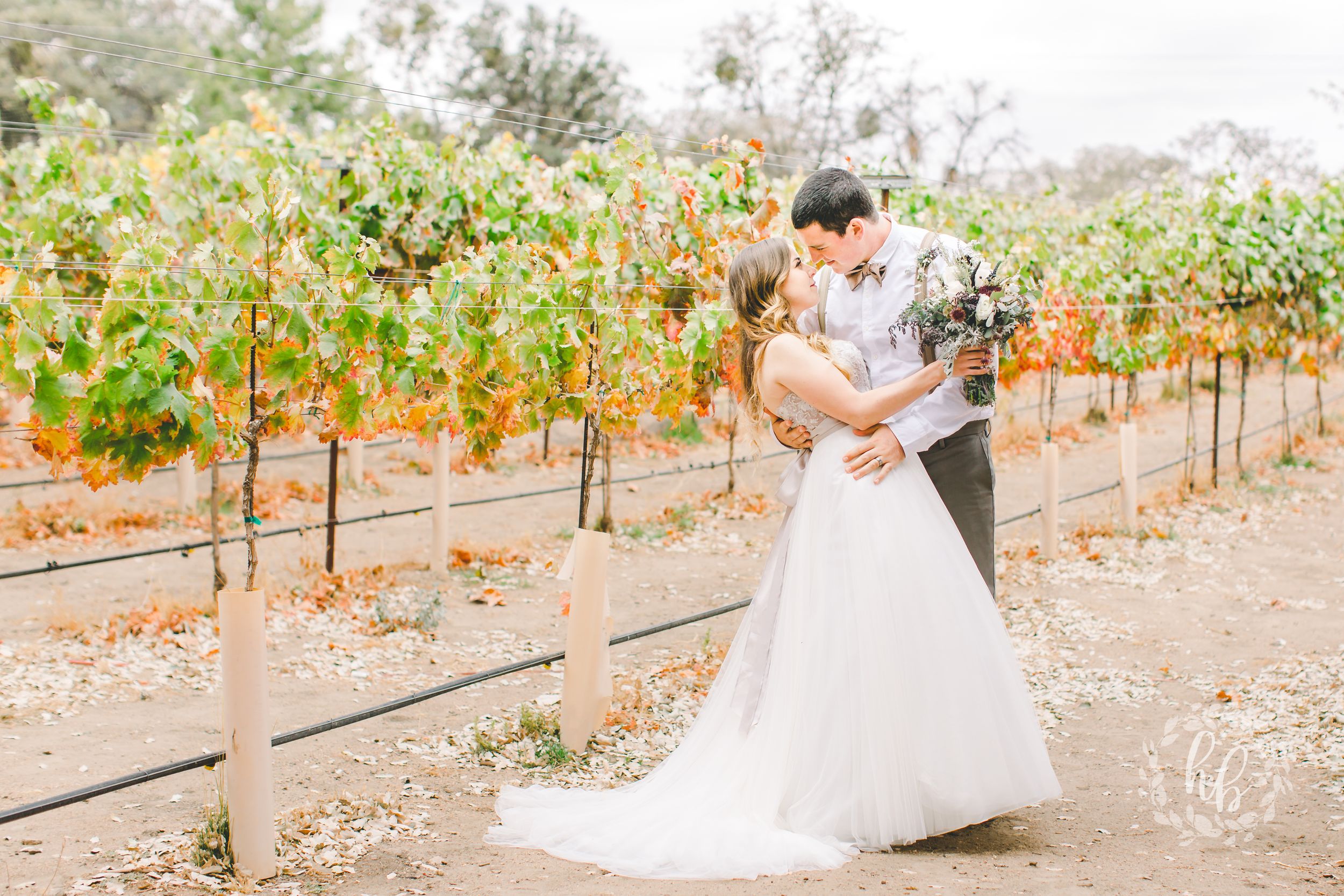 Dorner Family Vineyard Fall Wedding Los Angeles Wedding Photographer