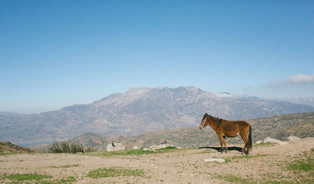 rif-marocco-montagne
