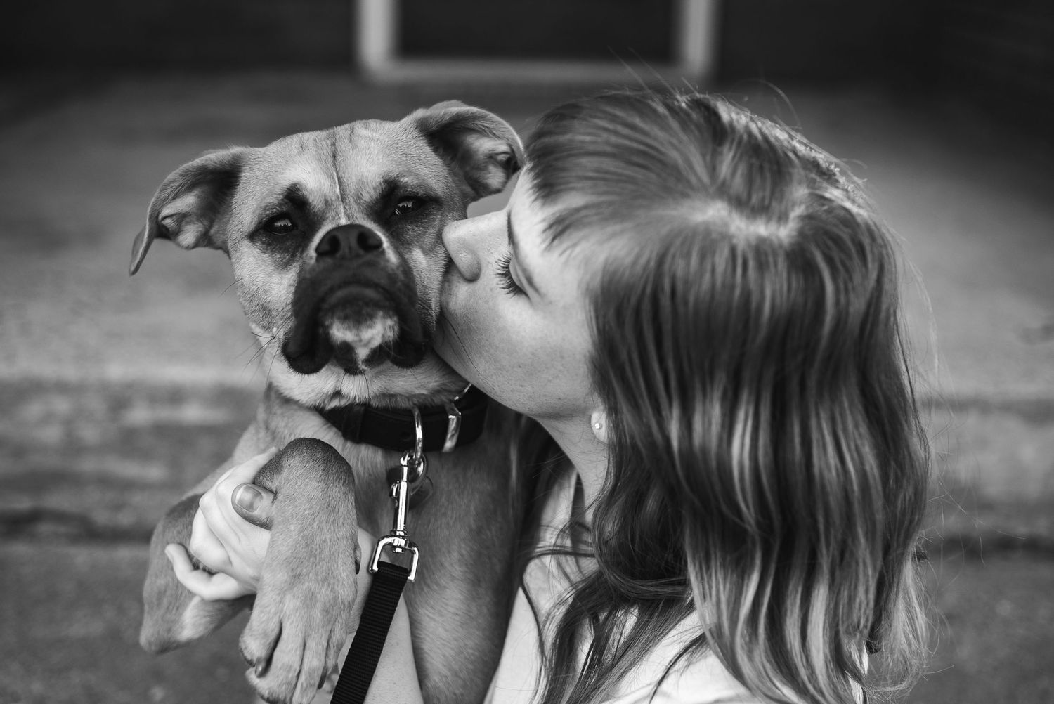 Pet Portraits in Grand Rapids Michigan