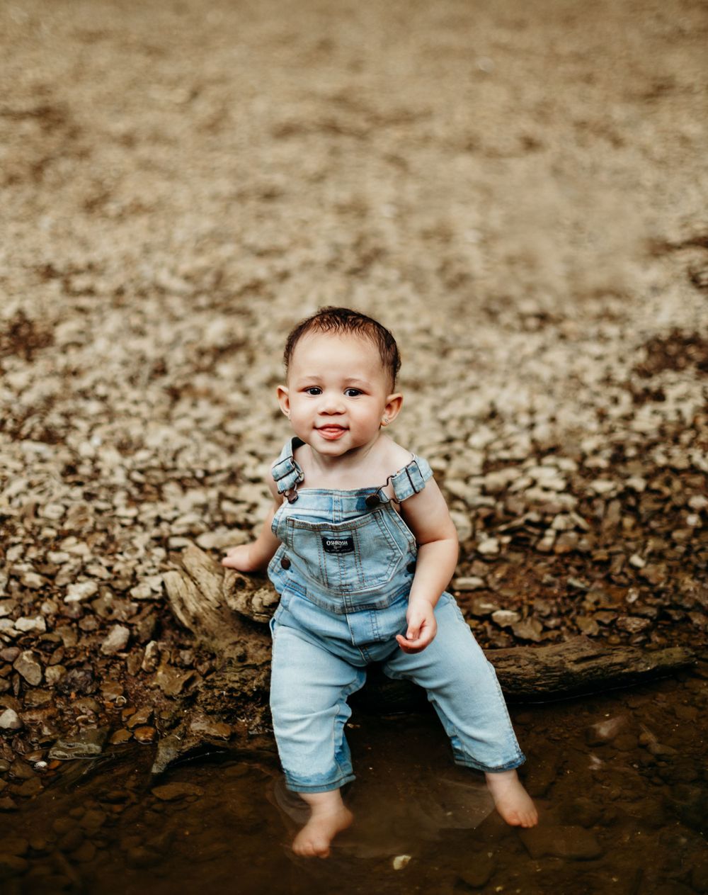 Hershey Newborn photographer, Hershey cake smash photographer, Lebanon newborn photographer, Lebanon milestone photographer, cake smash