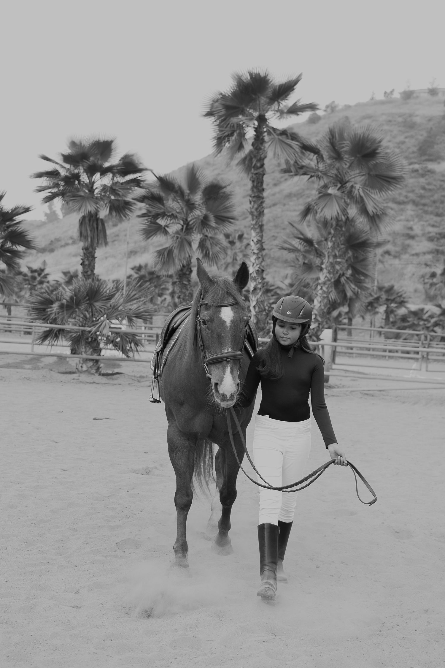Black and white photo of horse and rider walking past palm trees.