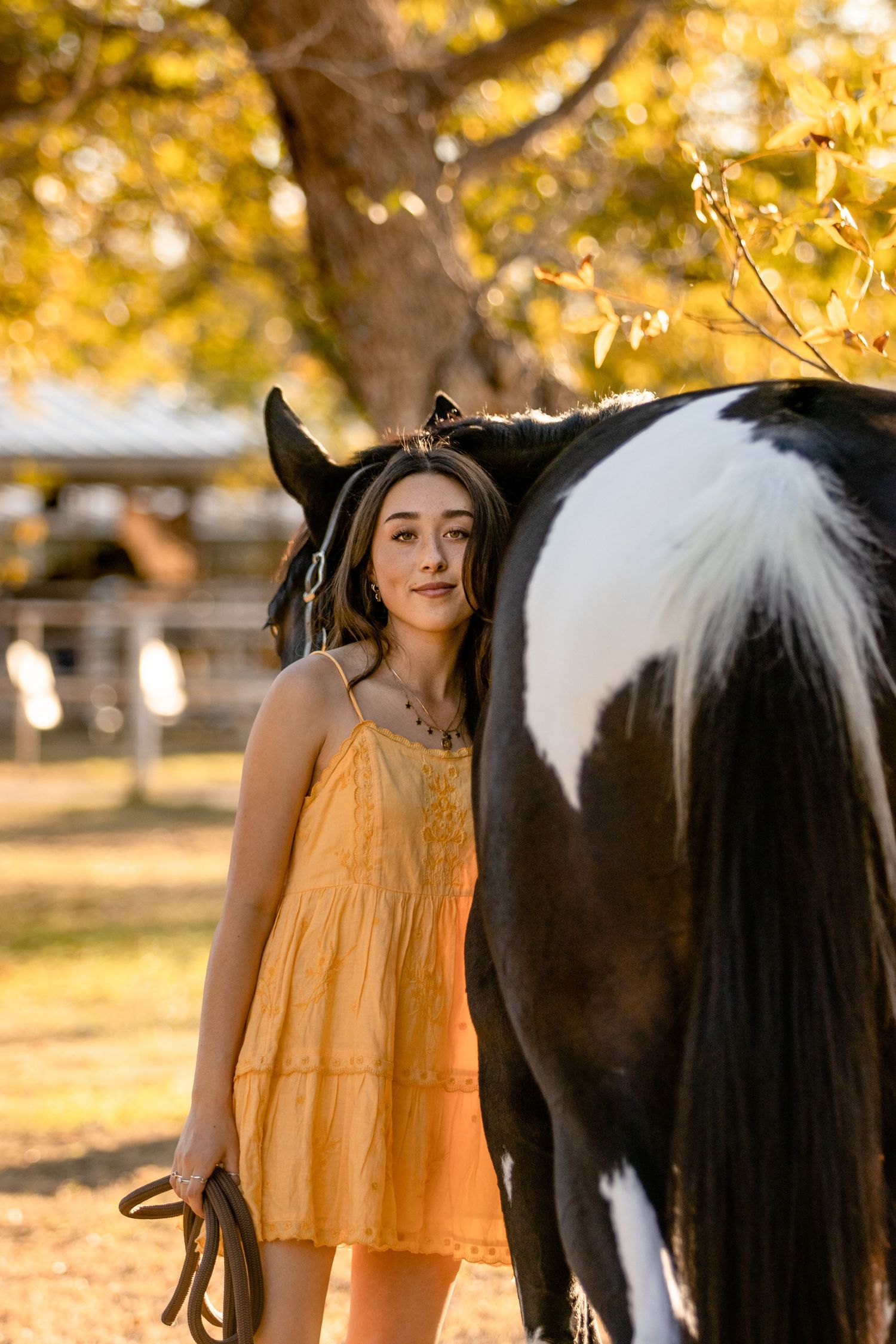hunter jumper rider senior portraits horse and rider