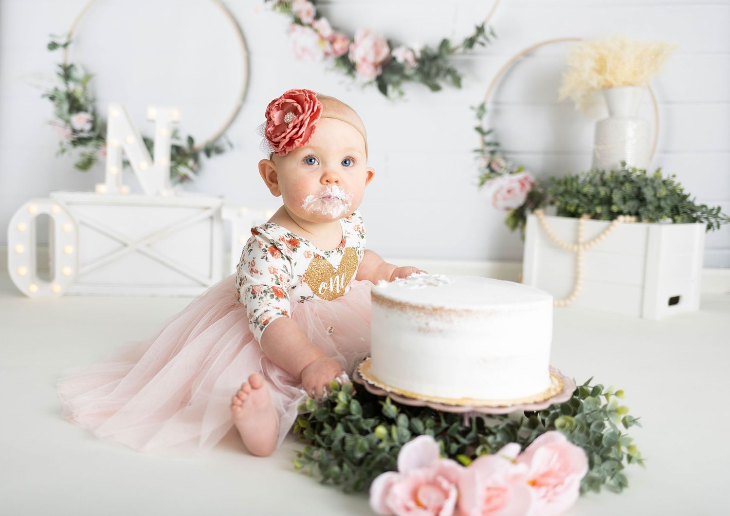 Cakesmash photographer, Pewaukee, Waukesha, Hartland, Milwaukee, Sussex, WI