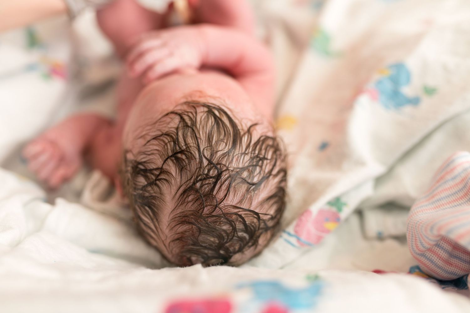 5 (Yes, FIVE) Stages of Pregnancy From a Northern Virginia Maternity, Birth, and Newborn Photographer