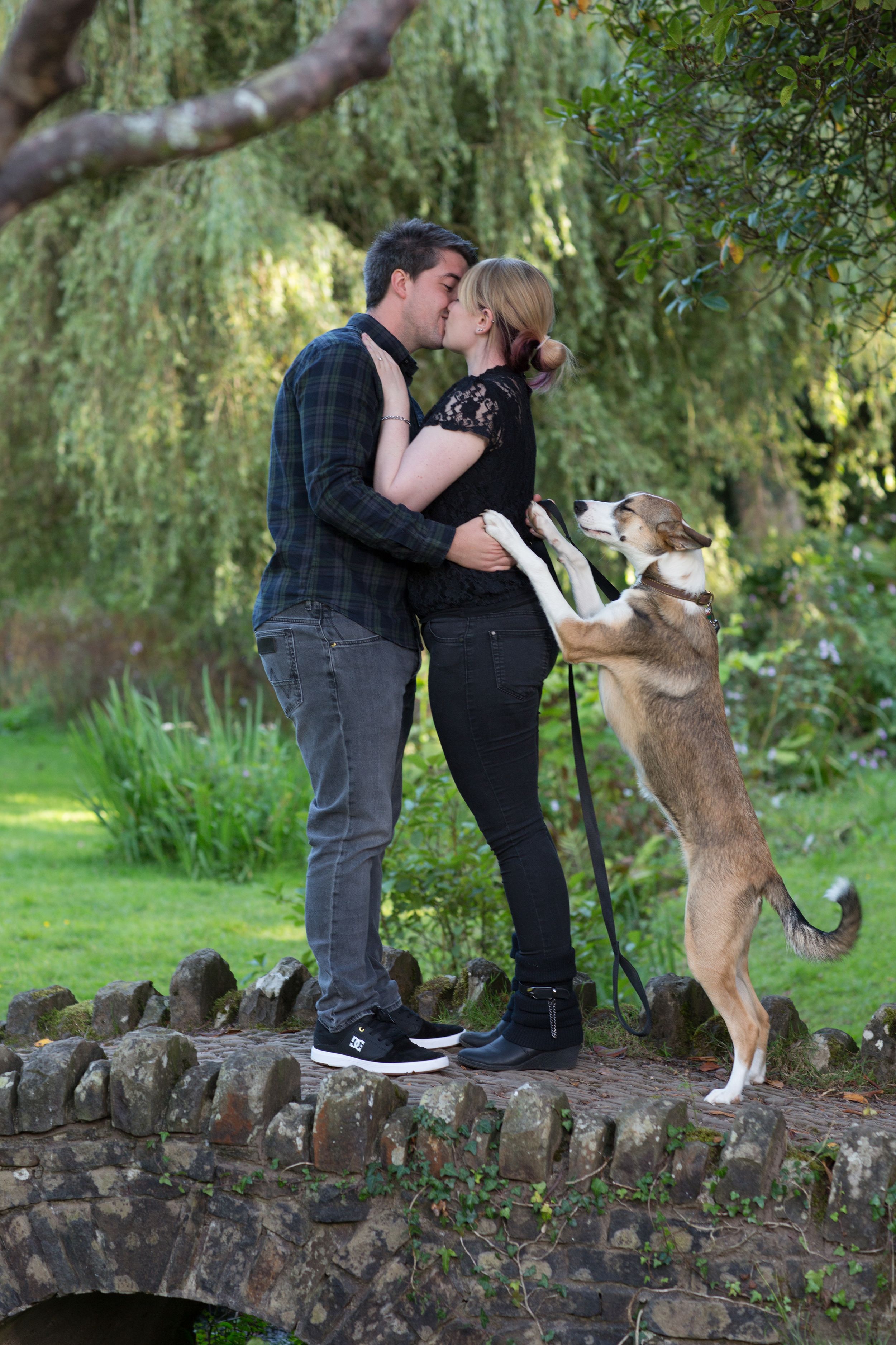 bring the dog on engagement shoot