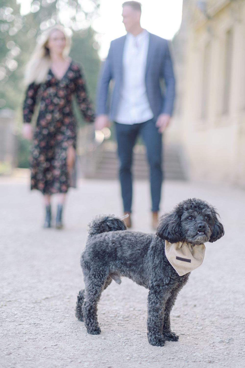 Surrey wedding photographer photoshoot