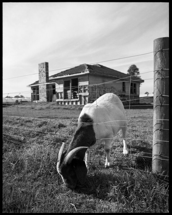 Pentax 6x7, 55mm lens
