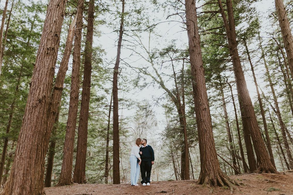 bound and branch engagement photos buffalo ny photographer couples photos