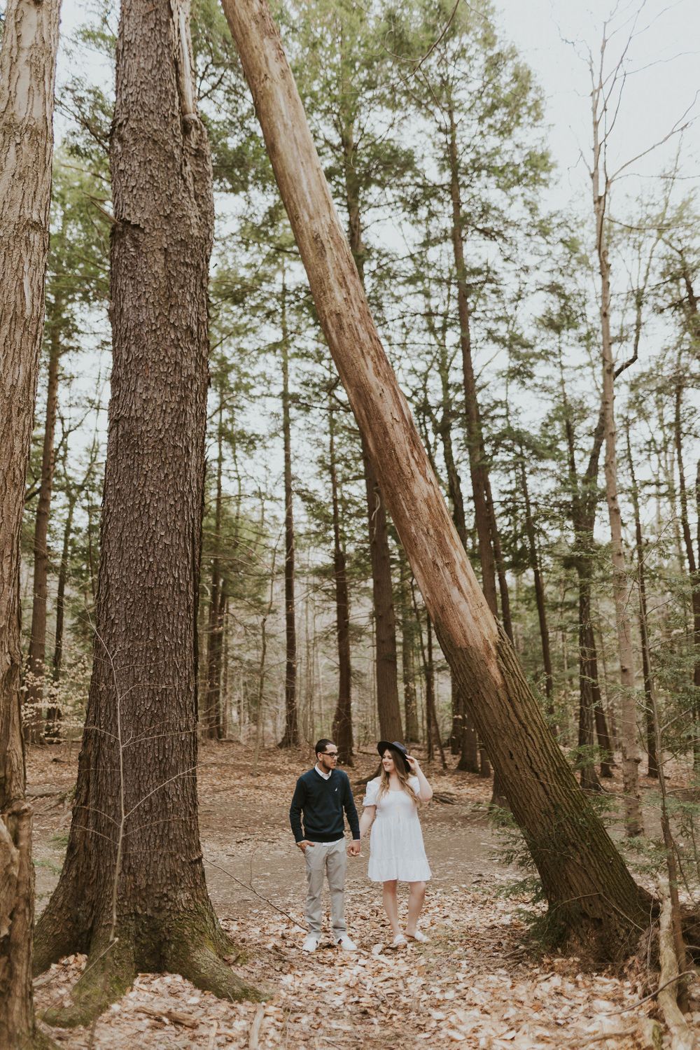 bound and branch engagement photos buffalo ny photographer couples photos