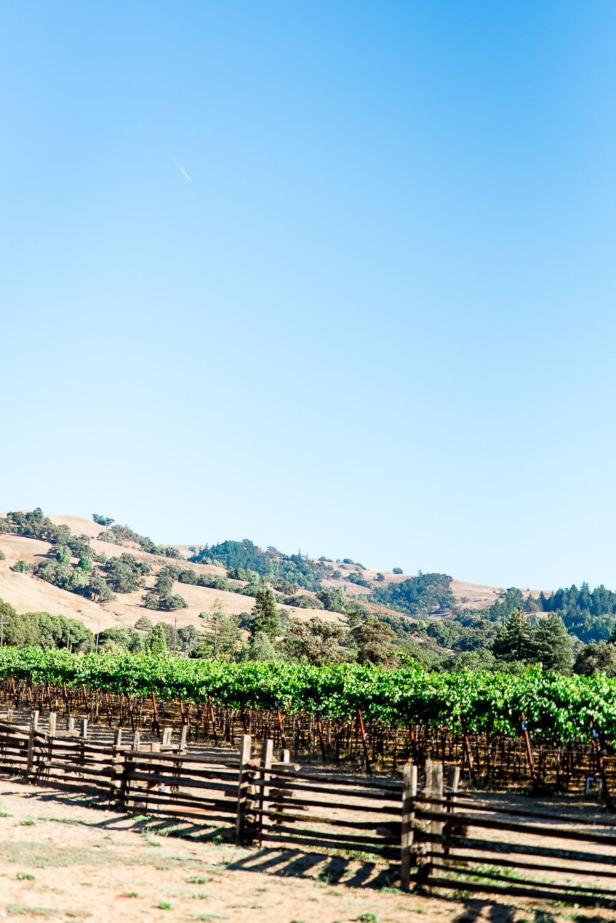 view of mountains in Pennyroyal Farm in Northern California