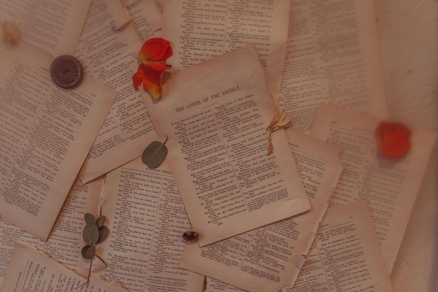 Delicate dried flowers scattered across open book pages in muted tones.